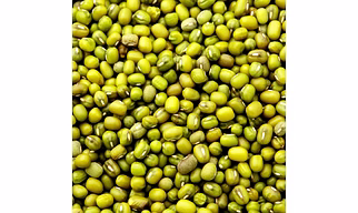 Green Gram for Export – Versatile and Nutrient-Rich