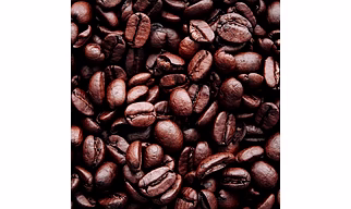 Premium Coffee Beans: Arabica & Robusta by Avivya Exports | Import High-Quality Coffee Beans