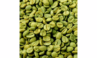 Premium Green Coffee Beans – Raw, Unroasted & Packed for Freshness | Wholesale Green Coffee Beans – Import from Avivya Exports