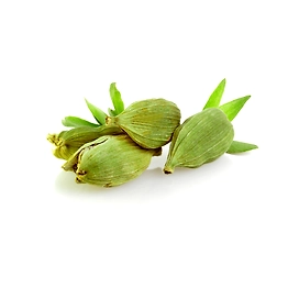 Premium Green Cardamom – The Queen of Spices, Pure & Aromatic | Aromatic & Flavorful Spice by Avivya Exports