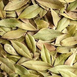 Premium Indian Bay Leaves – Aromatic & Flavorful Export Quality