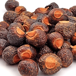 Premium Soapnut (Reetha) – Natural Cleaning & Skincare Solution