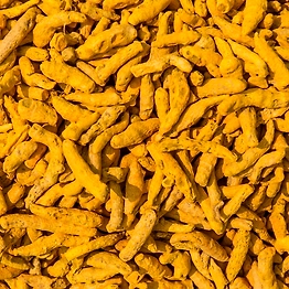Premium Turmeric Finger – Natural, Pure, and Potent| Indian Turmeric with high Curcumin value