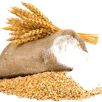 Premium Indian Wheat – Nourishment Redefined | Premium Quality Indian Wheat for Global Import