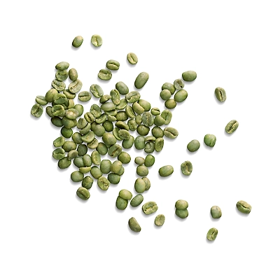Premium Green Coffee Beans – Raw, Unroasted & Packed for Freshness | Wholesale Green Coffee Beans – Import from Avivya Exports