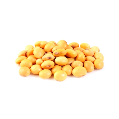 Premium Quality Soybean – Non-GMO, Nutrient-Rich & Eco-Friendly for Global Export