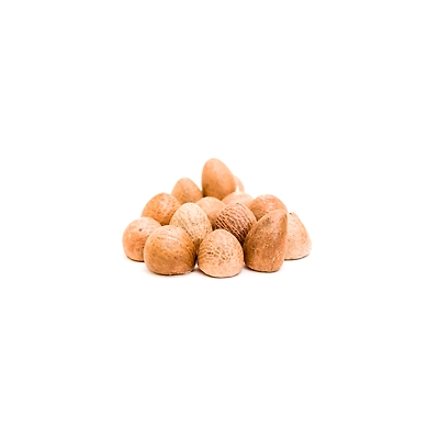 Premium Quality Areca Nut – Sourced from India’s Finest Plantations | Superior Quality from Avivya Exports