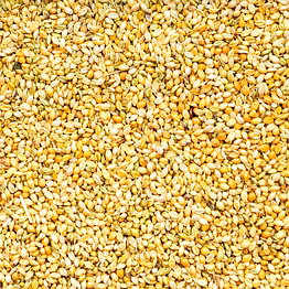 premium foxtail millet (kangi/rala) – nutrient-rich & naturally grown