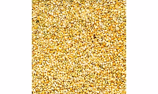 Premium Foxtail Millet (Kangi/Rala) – Nutrient-Rich & Naturally Grown