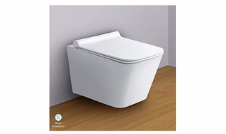 Rimless well hung closet including slow motion seat cover