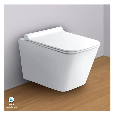 Rimless well hung closet including slow motion seat cover