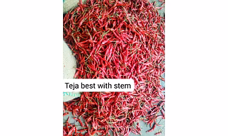 Dry Red chilli