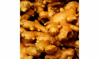 Ginger