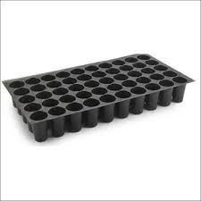 Seedling tray 104 cells-1