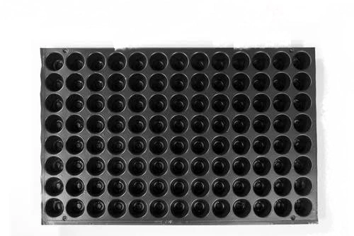 Seedling tray 104 cells-2