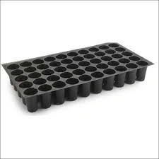 Seedling tray 104 cells-12473266