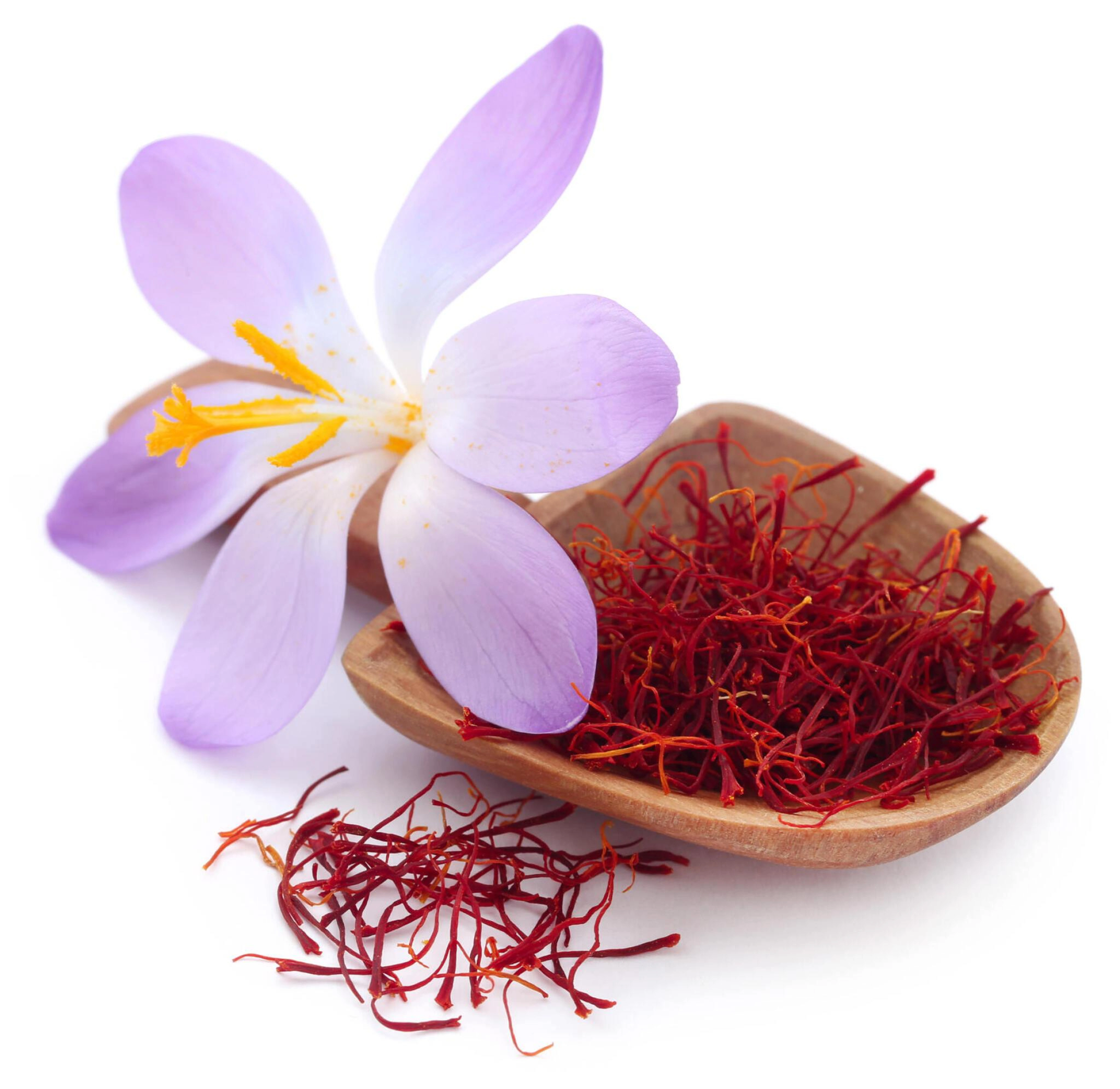 GI Tagged Kashmiri Mongra Saffron or Kesar-12472252