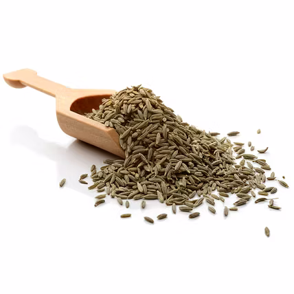Cumin or Jeera-1
