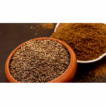 Cumin or Jeera-2