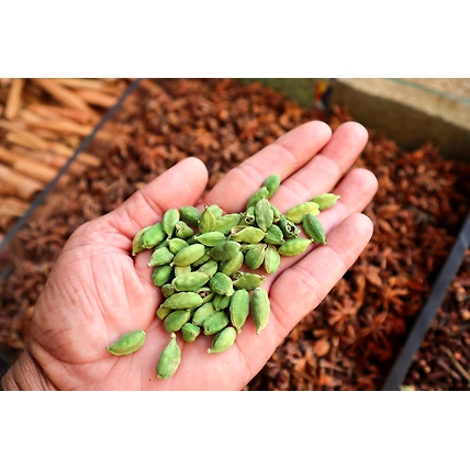 Green Cardamom or Choti Elaichi-4