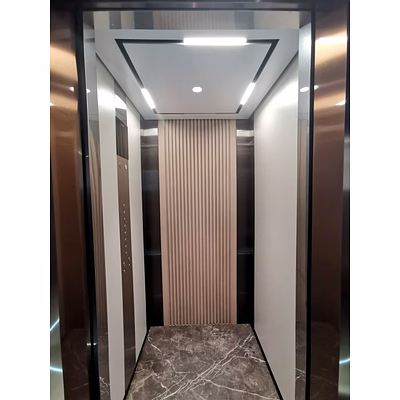 automatic passenger elevator