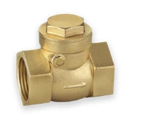 SWING CHECK VALVE-12473670