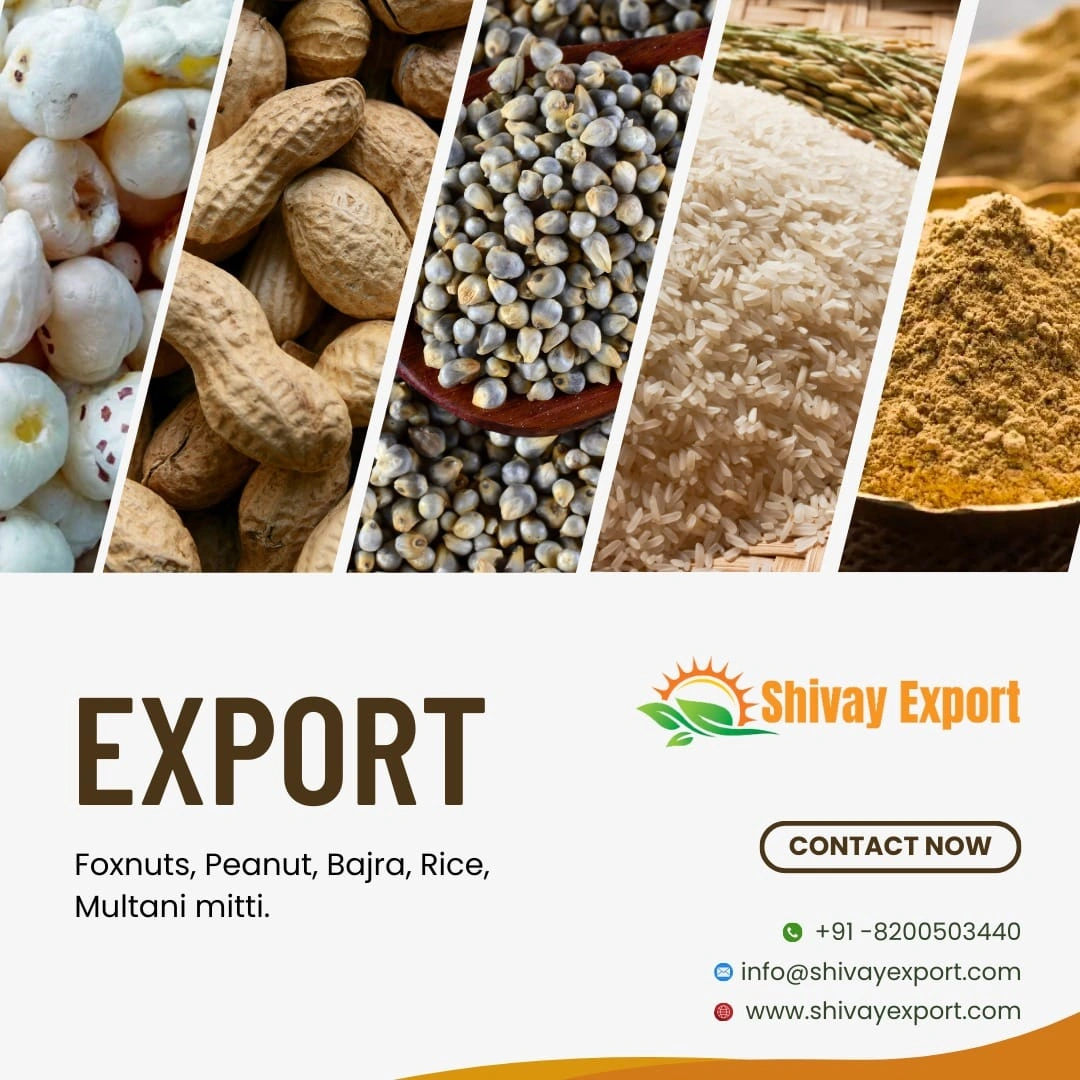 we have exporter in India all agriculture product all over countries. like fox nut, banana powder, spices, millet, peanut, tomato powder,fullers earth powder, turmeric powder , red chilli powder, turmeric whole, red chilli , ground nut , peanut oils, sesame seed, check peas, chana whole , cumin seed , ginger powder, onion powder, garlic powder, makhana, multani mitti, sorghum, moong whole, chana dal , toor dal, pulses , basmati rice , 1121 , 1509, 1401, black check peas , wheat flour , maida flo-1