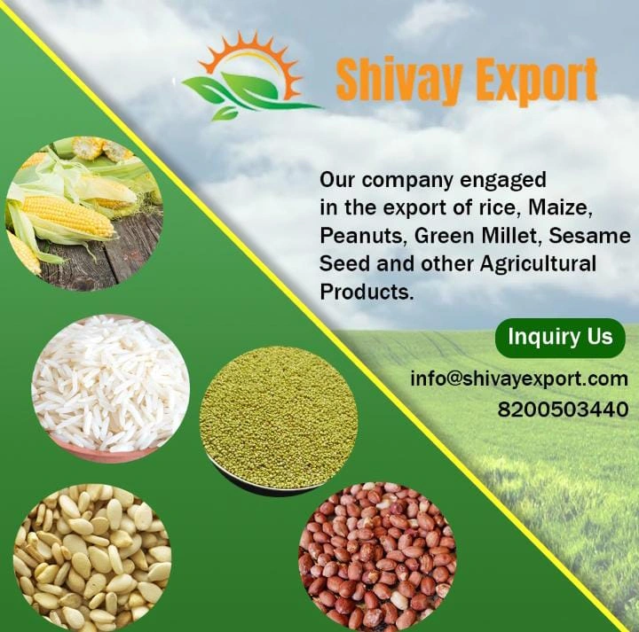 we have exporter in India all agriculture product all over countries. like fox nut, banana powder, spices, millet, peanut, tomato powder,fullers earth powder, turmeric powder , red chilli powder, turmeric whole, red chilli , ground nut , peanut oils, sesame seed, check peas, chana whole , cumin seed , ginger powder, onion powder, garlic powder, makhana, multani mitti, sorghum, moong whole, chana dal , toor dal, pulses , basmati rice , 1121 , 1509, 1401, black check peas , wheat flour , maida flo-3