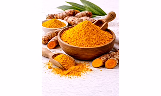 Turmeric Powder Supplier for Curry Manufacturing