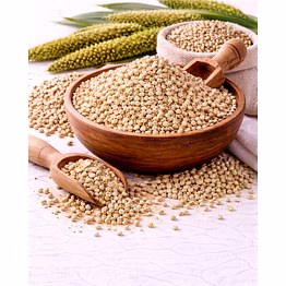 fennel seeds supplier for seasoning production