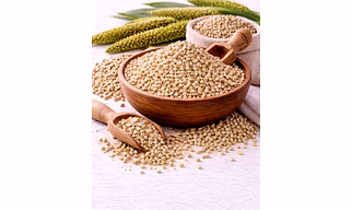 Fennel Seeds Supplier for Seasoning Production