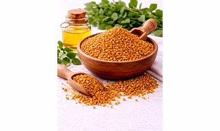 Fenugreek Seeds Supplier for Spice Blending