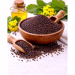 mustard seeds supplier for seasoning production