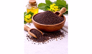 Mustard Seeds Supplier for Seasoning Production