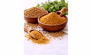 Coriander Seeds And Powder Supplier for Spice Blending