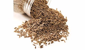 Cumin Seeds Supplier for Spice Blending