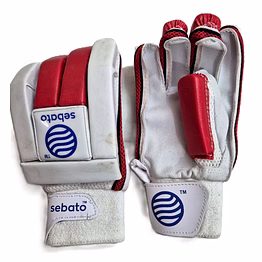 sebato cricket batting gloves