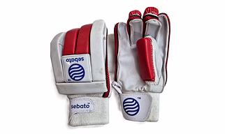 Cricket Batting gloves