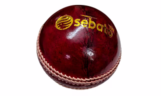 Leather Cricket Ball