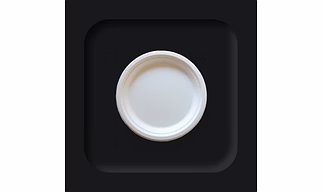 Sugarcane Bagasse 6" Round Plate