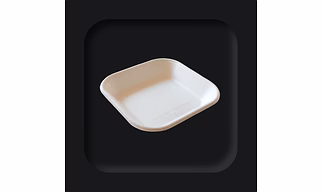Sugarcane Bagasse Trays