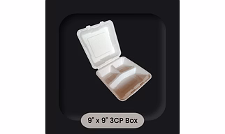 Sugarcane Bagasse 9