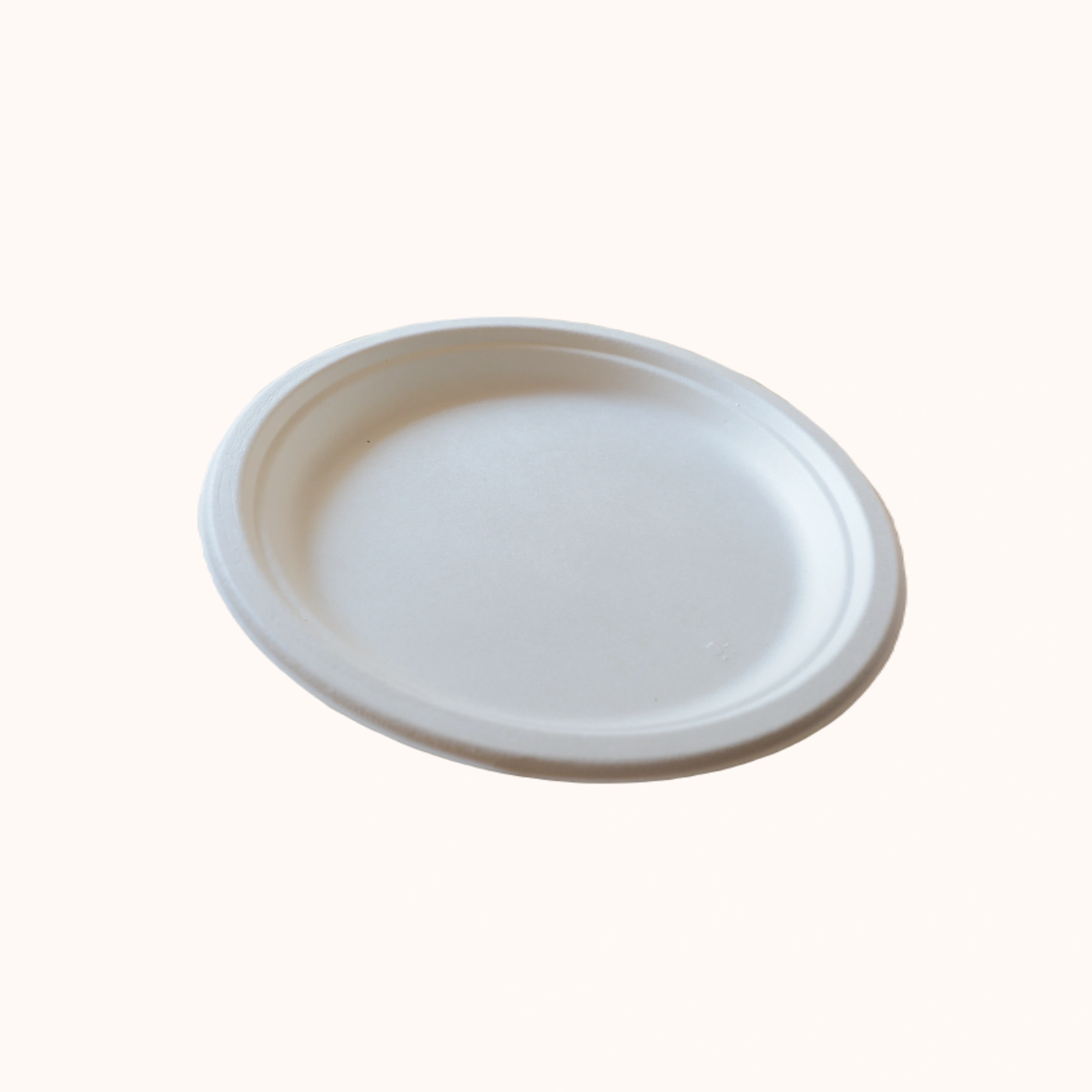 Sugarcane Bagasse 9&quot; Round Plate-1