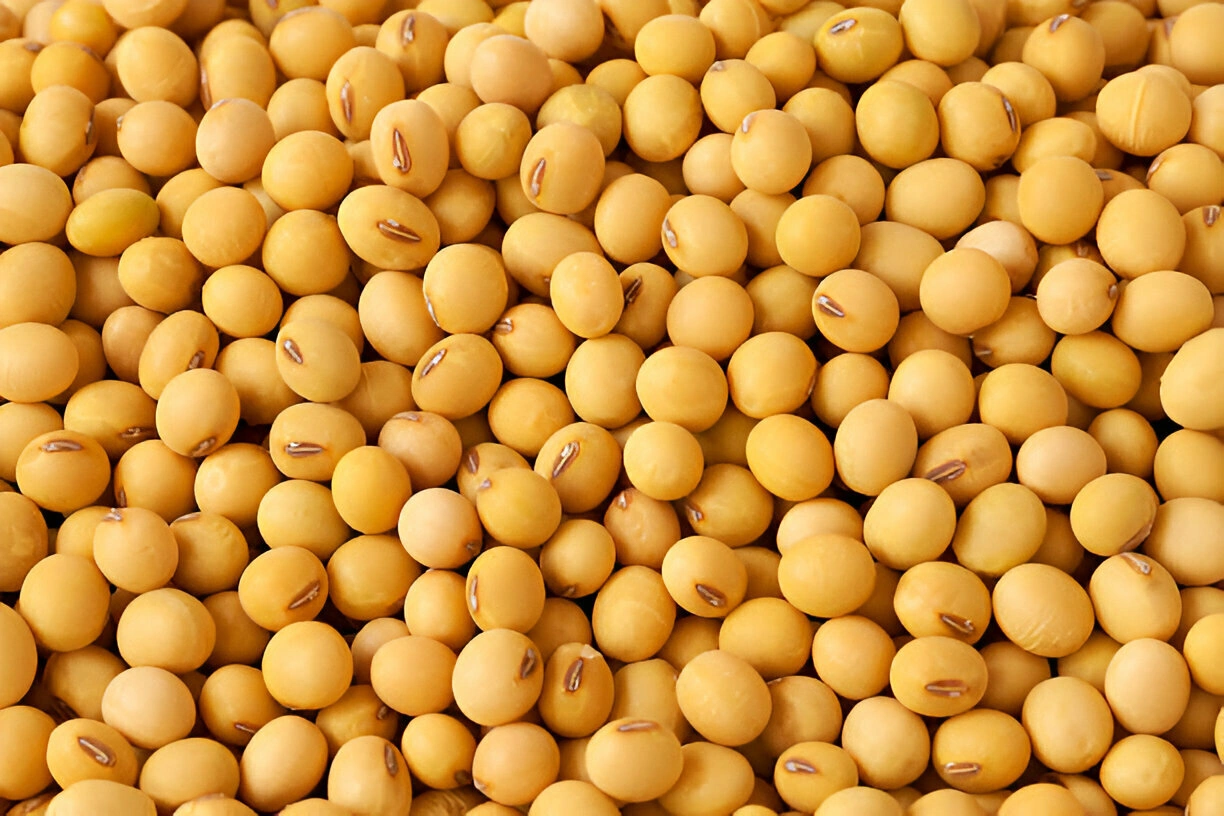 SOYBEANS-2