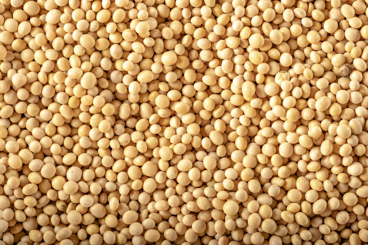 SOYBEANS-1