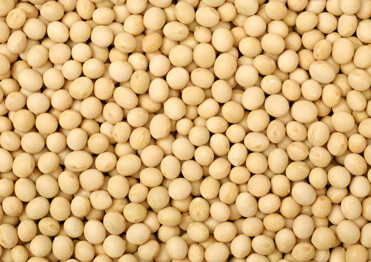 SOYBEANS-12528582