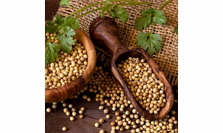Coriander Seeds