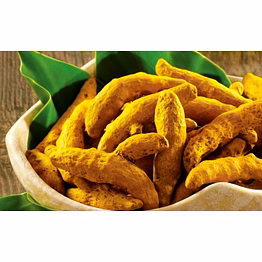 rajapuri turmeric finger
