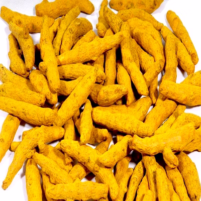 nizamabad turmeric finger