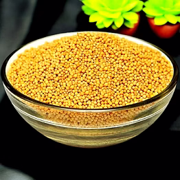 yellow mustard seeds